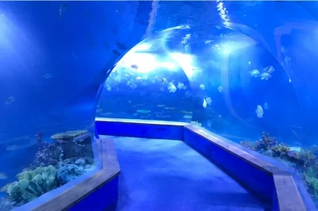 Finished curved acrylic passage at Weihai Weigao Ocean Park