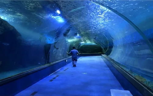 Underwater acrylic passage at Hunan Yiyang Ocean World